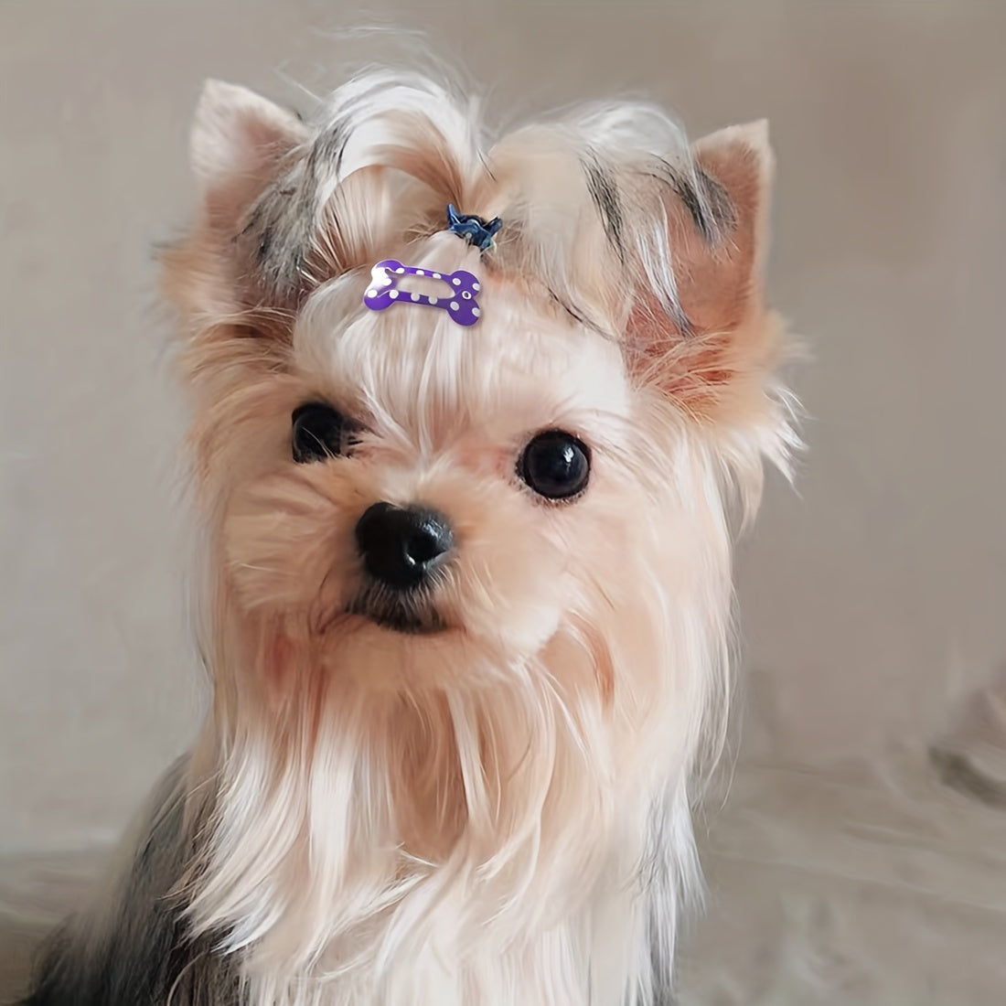 10-Pack of Adorable, Colorful, and Gentle Pet Hair Clips for Easy Grooming - Perfect for Puppies, Kittens, and Small Animals - Durable, Non-Slip, and Easy to Use